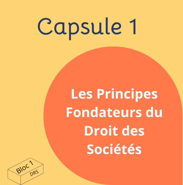 capsule 1 les principes fondateurs du droit des sociétés